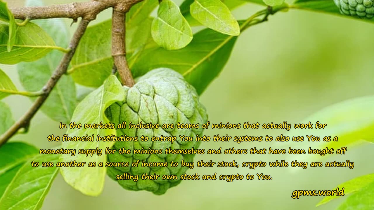 Trading and investing, crypto fraud