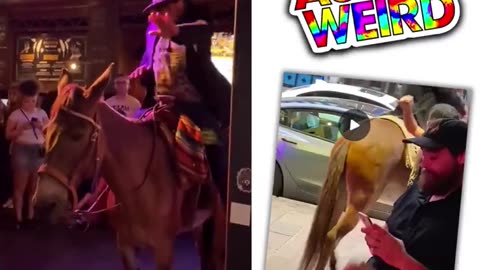 Can we please just keep Austin weird & non violent? Man rides horse into bar LMAO