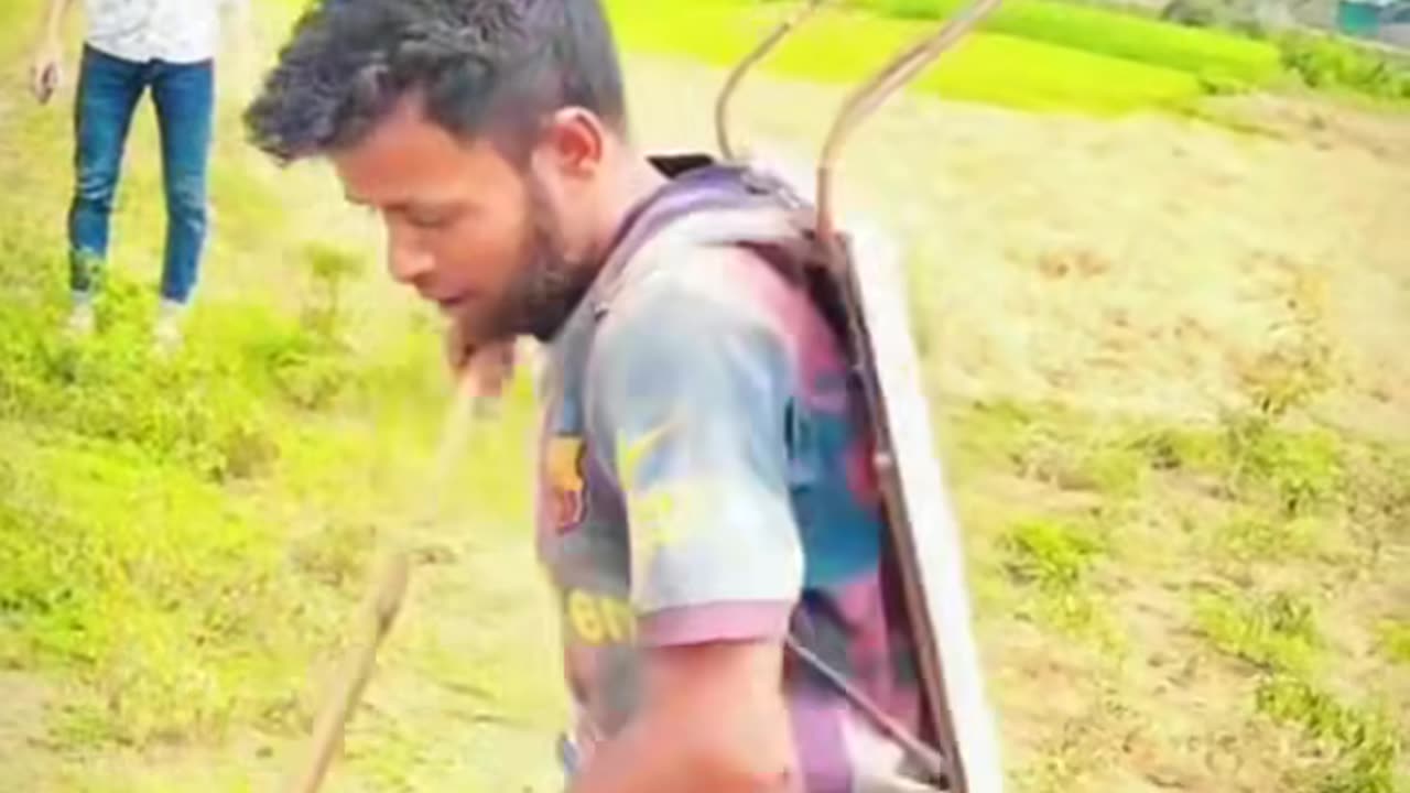 amazing funny shorts viral video