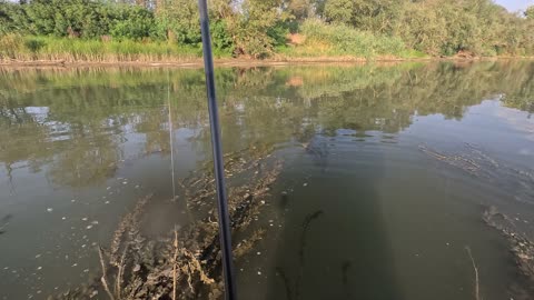 Fishing in Dracula's Land