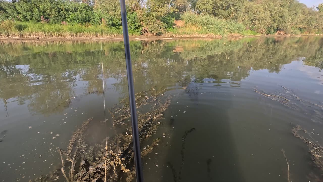 Fishing in Dracula's Land