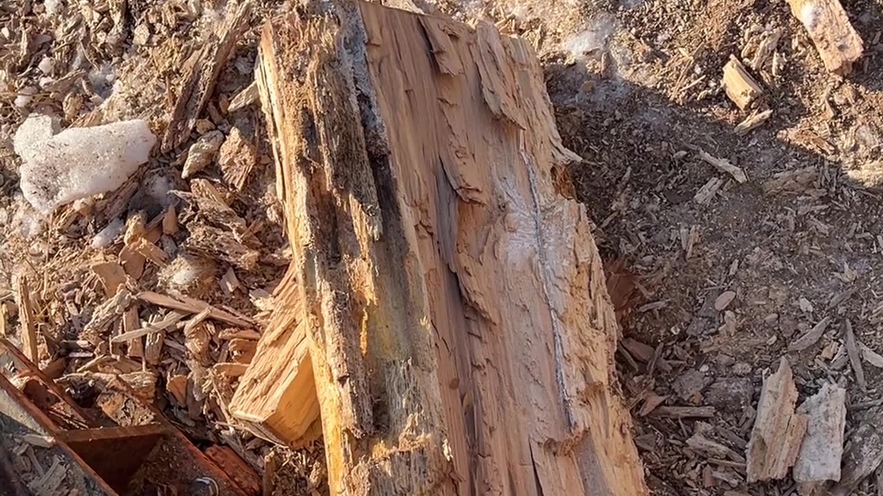 Wood Splitting