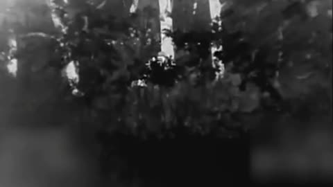 Ukriane war combat footage july 16 2025