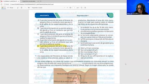 AULA 20 REGULAR 2026 - 1 | Semana 15 | Anatomía