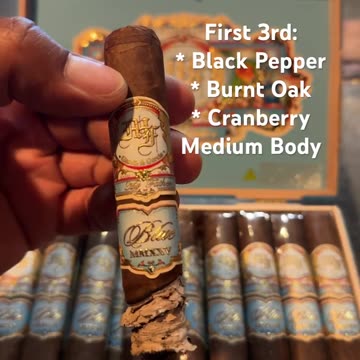 Blue MMXXV (My Father) Robusto 5 1/4x52 #Shorts #CigarOfTheDay #Short #CigarReview #YTShorts #Review