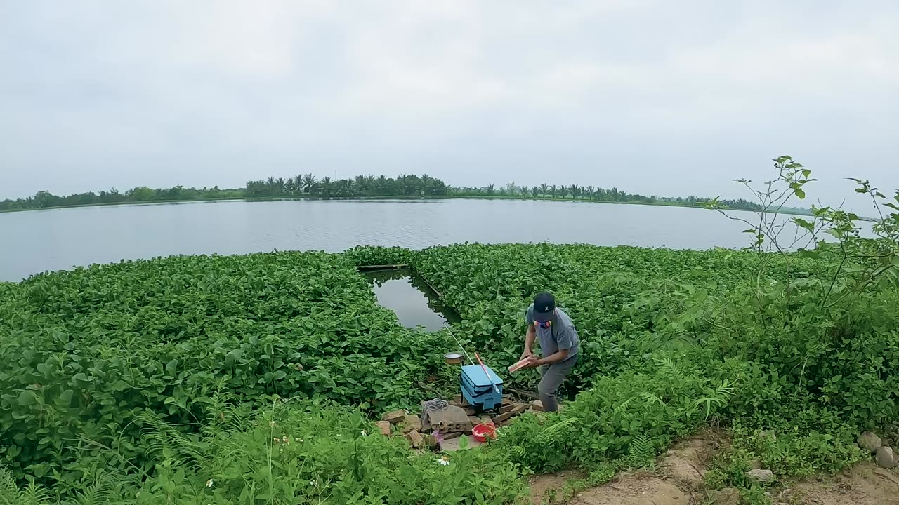 Walleye Wisdom Fishing by Moonlight