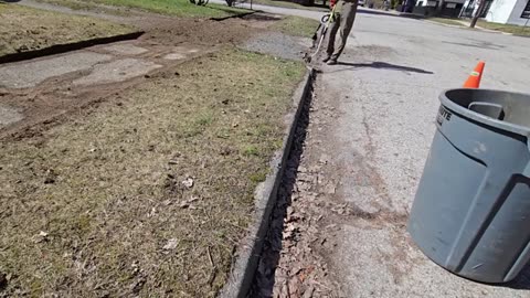 Peeling Back A CENTURY OLD Sidewalk To Help It BREATHE Again_part8