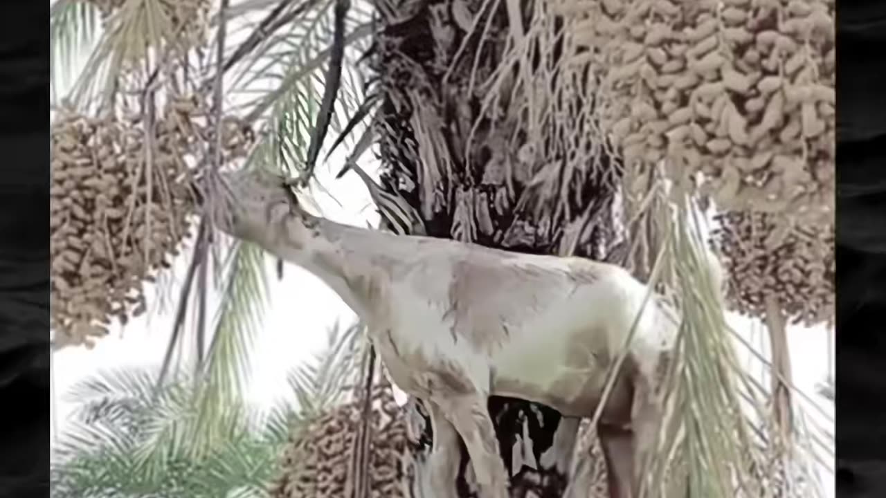 😨💥 Creepy Paranormal Activity That Will Give You Nightmares! | TheHauntingHour