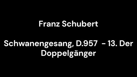 Schwanengesang, D.957 - 13. Der Doppelgänger
