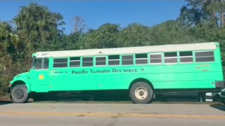 A bus filled with illegal alien workers was raided yesterday in Immokalee, Florida.