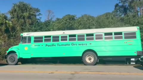 A bus filled with illegal alien workers was raided yesterday in Immokalee, Florida.