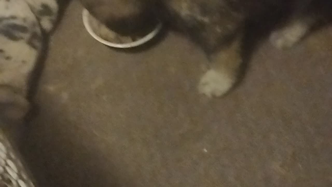 Breakfast before sunrise