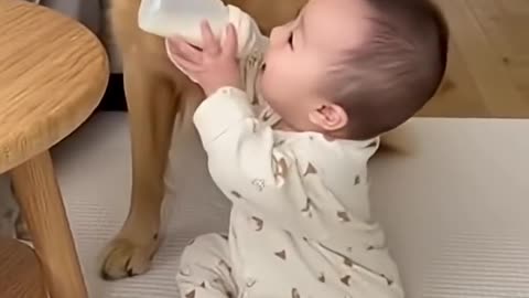 Struggling With a Disobedient Dog? Fix It Fast With This Proven Training Method