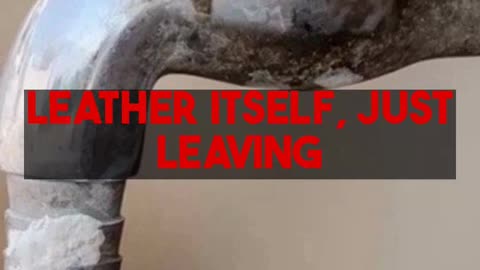 Do It Yourself Leather Care Facts and Methods for Preservation