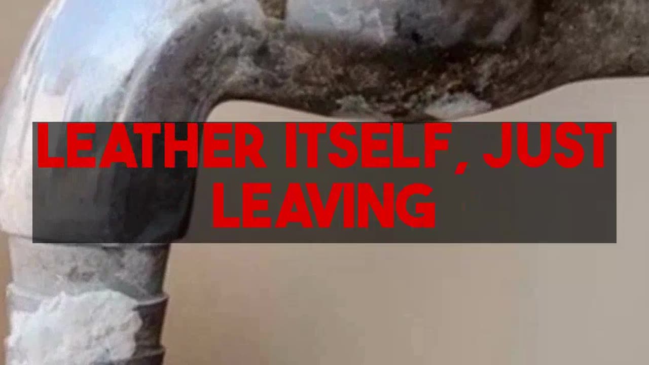 Do It Yourself Leather Care Facts and Methods for Preservation