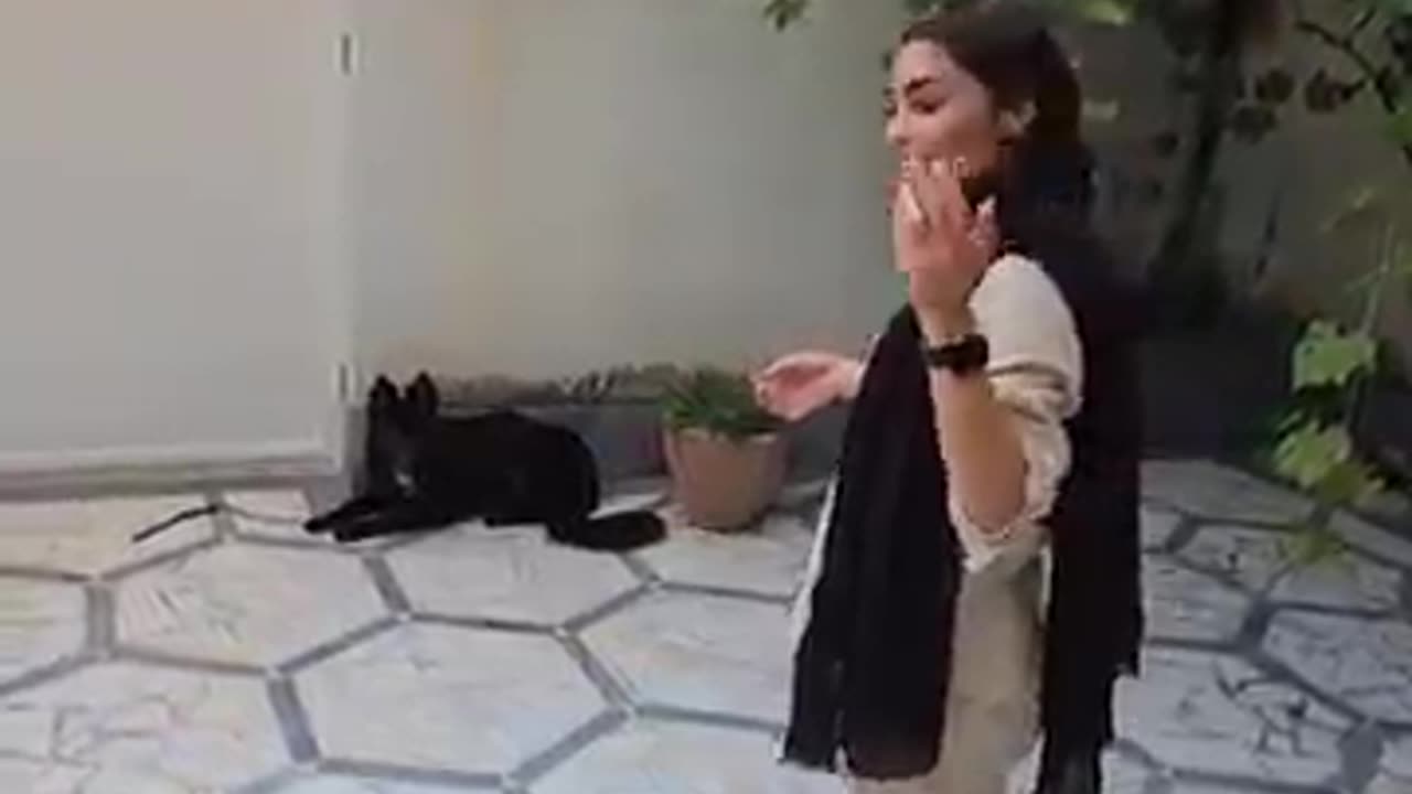 animals