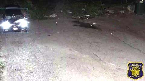 It seems like it would go without saying, but dumping garbage in our city is illegal.