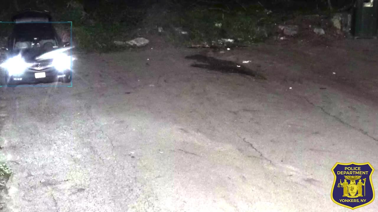 It seems like it would go without saying, but dumping garbage in our city is illegal.