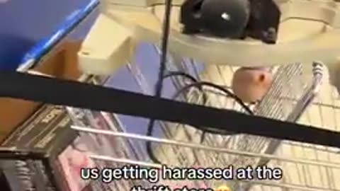 whites getting harassed at thrift store USA