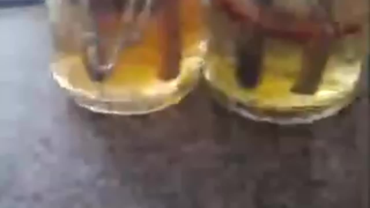 TESTING TAP WATER AND FINDING BPA ATRAZINE THAT MAKE US ALL GAY