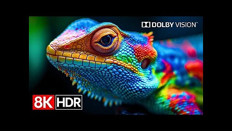 "Experience the Magic of Costa Rica in Stunning 8K HDR! 🌴✨ | Breathtaking Dolby Vision Adventure!"