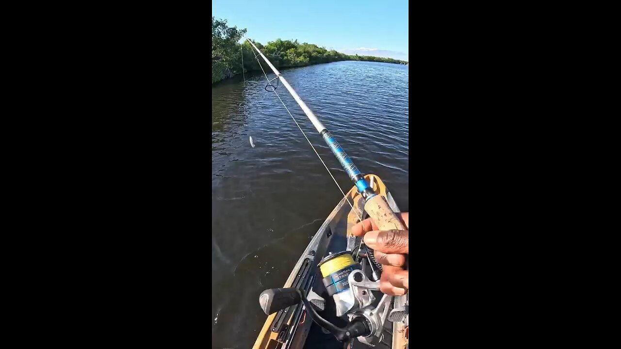 Casting Lines, Catching Dreams — River Fishing Journey