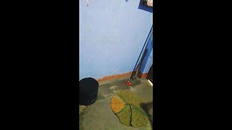 #rumbleshorts#ghant#shottfeed