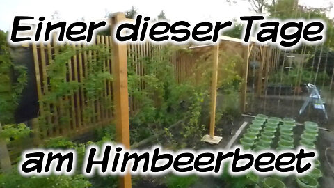 Einer dieser Tage ... am Himbeerbeet - Mach's Dir. Selbst.