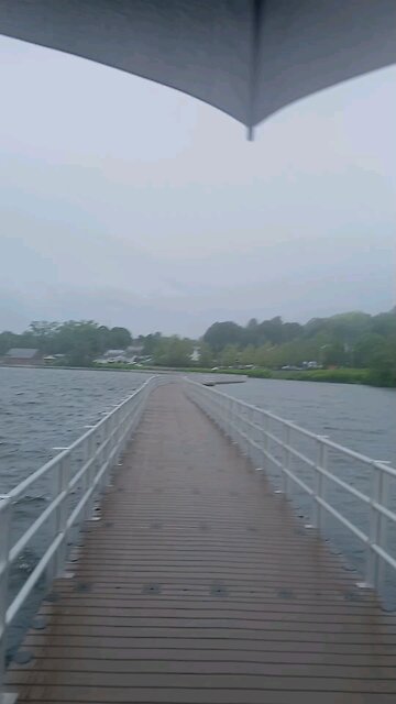 acting stupid on the bridge