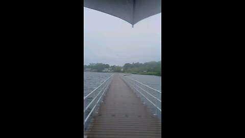 acting stupid on the bridge