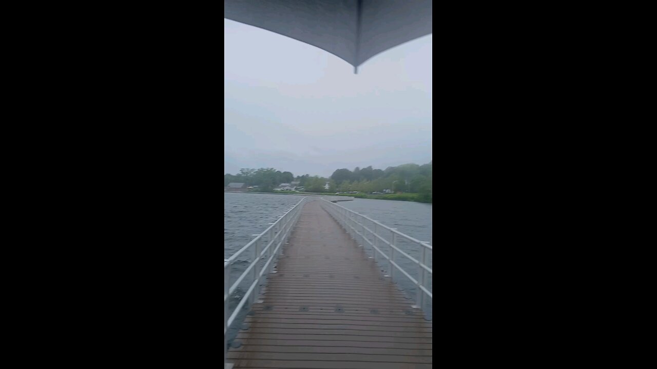 acting stupid on the bridge