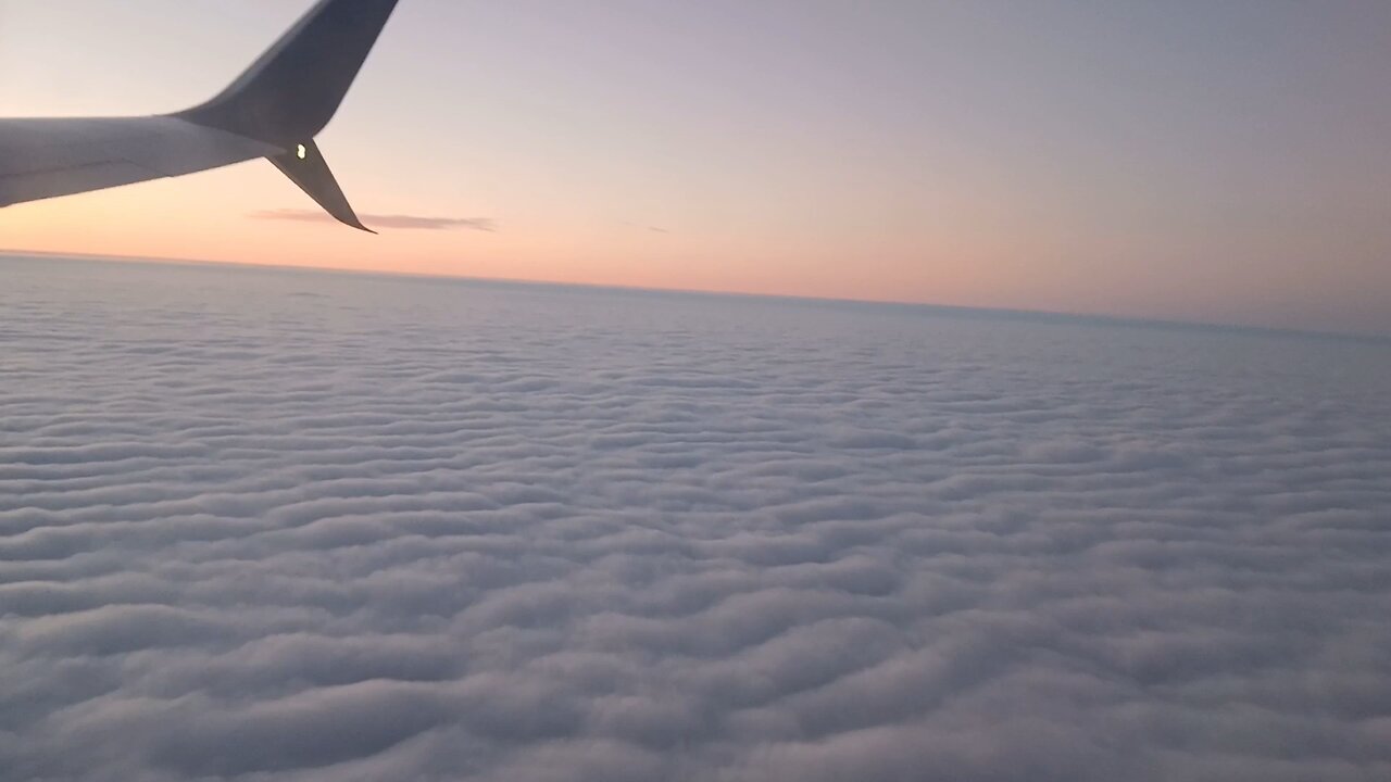 flight to Punta cana