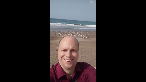 Visit https://Antuan.pro See Gulf of Oman and nice birds on a beach!
