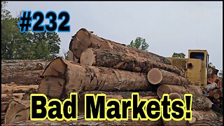 White Oak Log Market Crashed and Firewood Markets Rise❗️