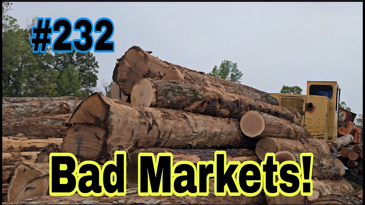 White Oak Log Market Crashed and Firewood Markets Rise❗️