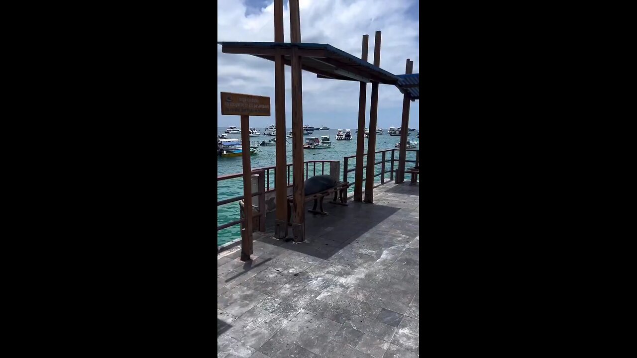 All seats has been occupied 💕