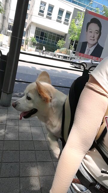 20250618. Only YOON. YOON AGAIN.