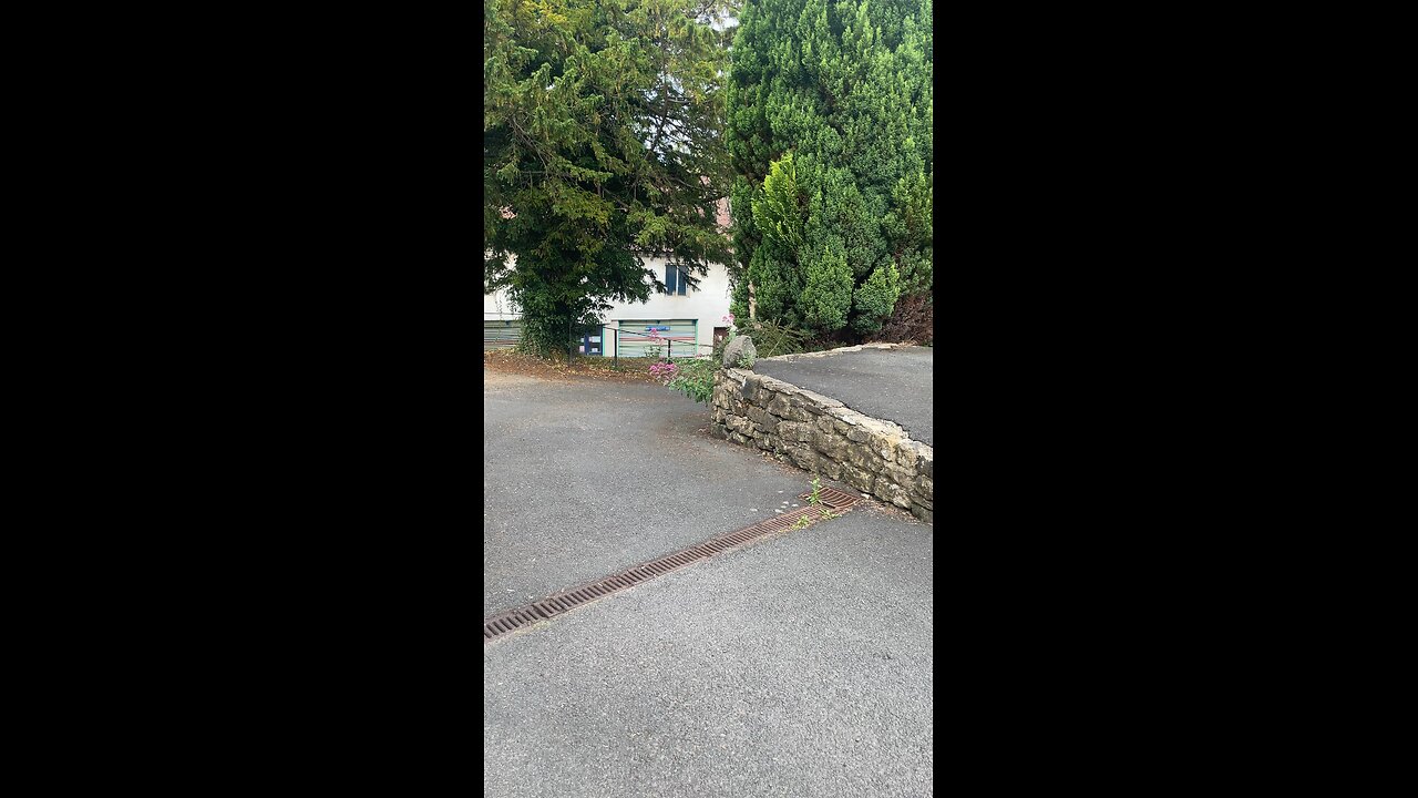 Got Part of the Overgrown driveway Cleared