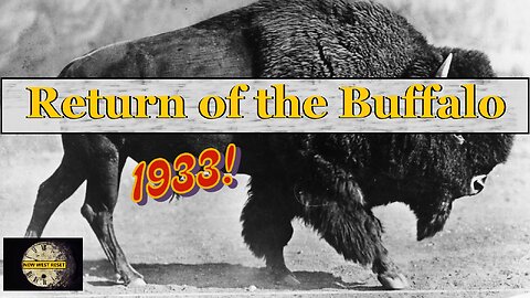 "RETURN of the BUFFALO" Canadian Cameo Film (1933) #reset #mudflood #oldworld