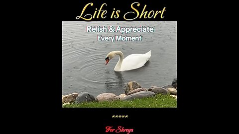 12. Life is Short - Relish & Appreciate Every Precious Moment 💕