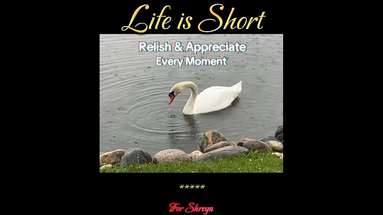 12. Life is Short - Relish & Appreciate Every Precious Moment 💕