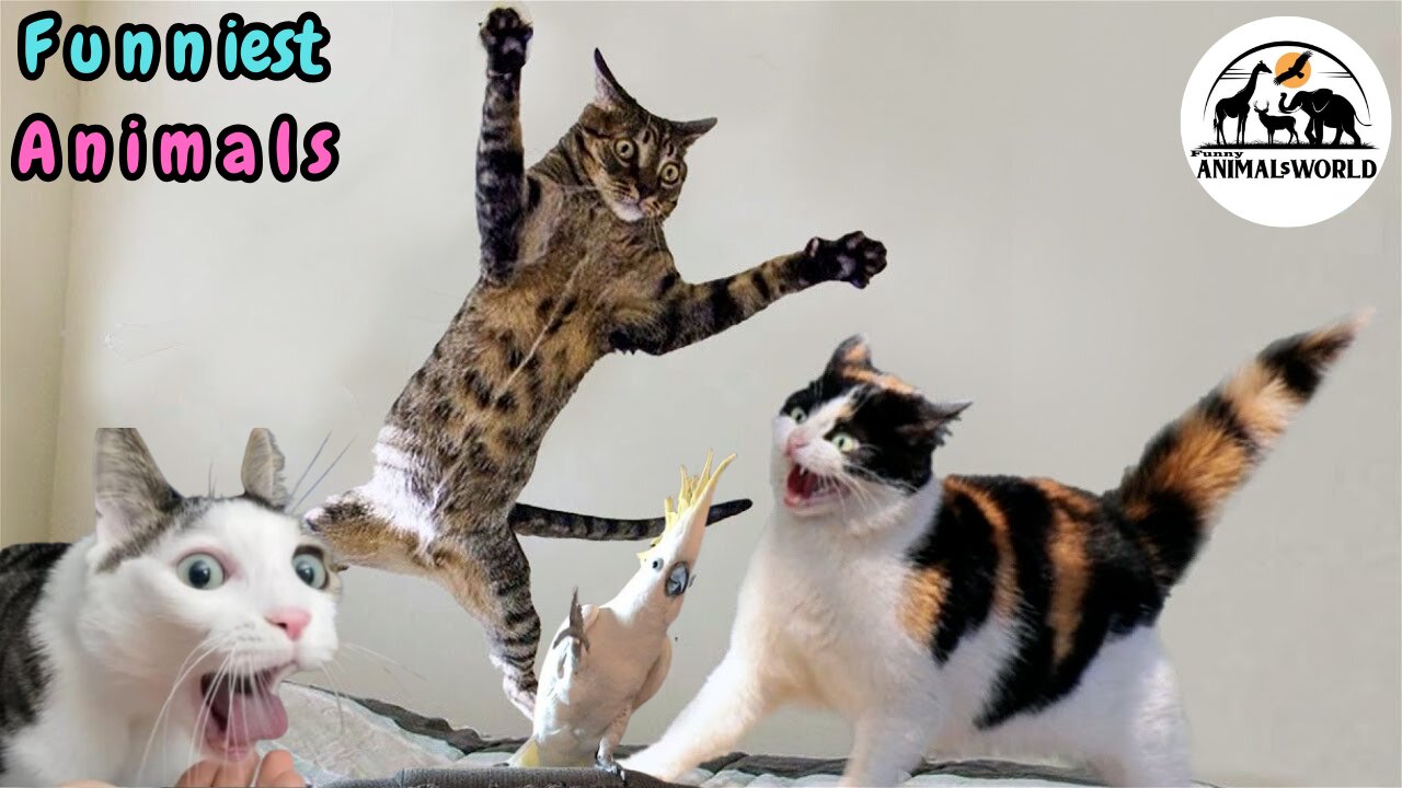 FUNNY ANIMAL Videos For 30 Days and Couldn't Stop Laughing Animal Clips Of 2025