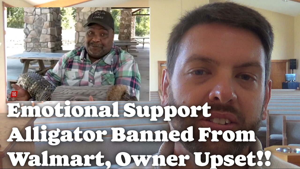 Emotional Support Alligator Banned From Walmart, Owner Upset