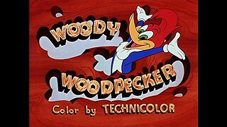 Best Woody Woodpecker episodes