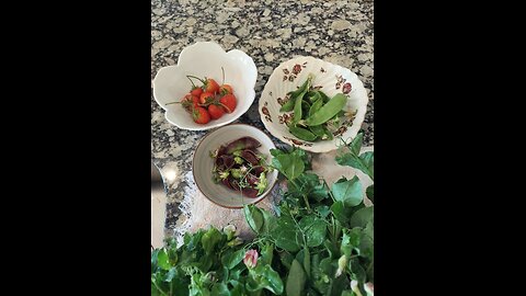 52 Sundays! Strawberries and Peas