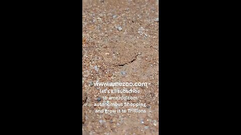 www.amezoo.com autonomous Shopping Subscription