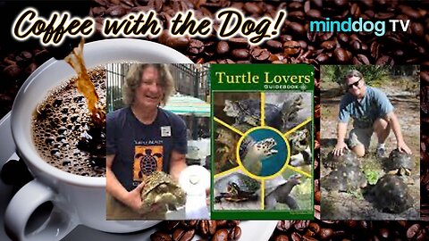 Tony & The Turtles EP937
