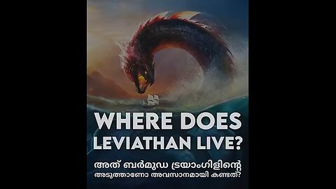 Where Does Leviathan Live? | അത് ബർമുഡ ട്രയാംഗിളിന്റെ അടുത്താണോ അവസാനമായി കണ്ടത്? #shorts #mystery
