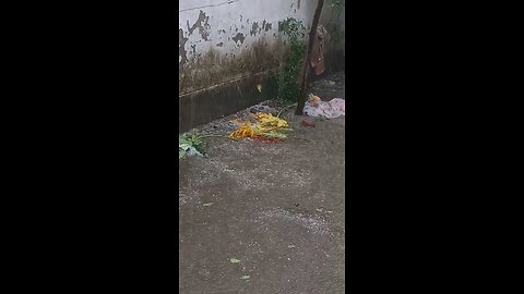 Rock Rain