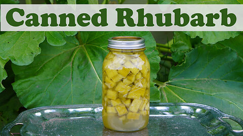 How to Can Rhubarb Recipe